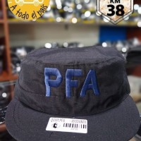 quepi PFA ayudante 1