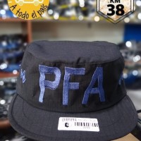 quepi PFA inspector 1