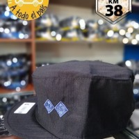quepi PFA inspector 2