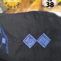 quepi PFA inspector 3