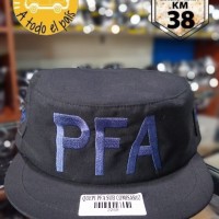 quepi PFA subcomisario 1