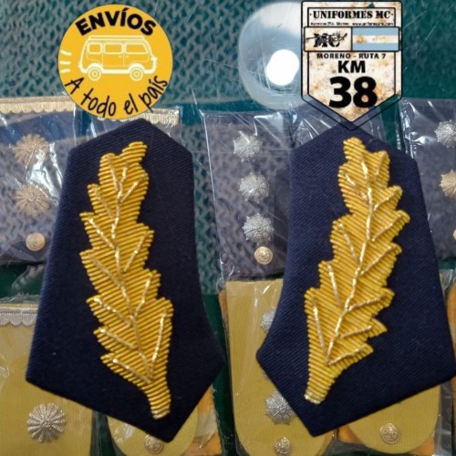 palma azul 1 palma azul 1