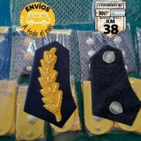 palma azul 2 palma azul 2