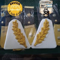 palma blanca 1 palma blanca 1