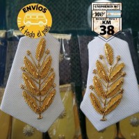 palmas blancas 1 palmas blancas 1