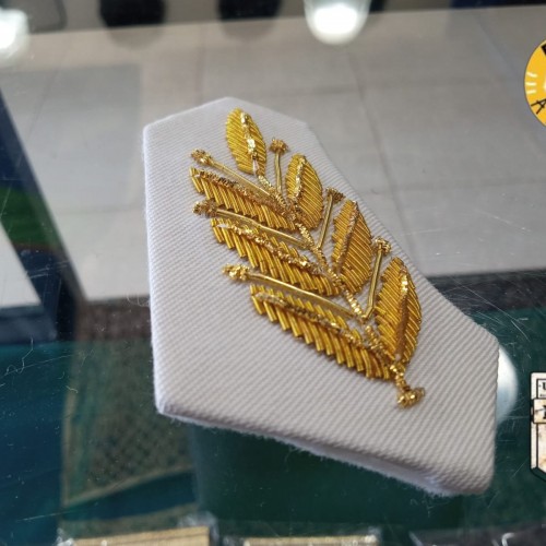 palmas blancas 3 palmas blancas 3