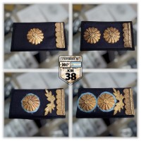 pectorales azul 5 pectorales azul 5