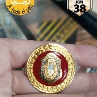 pin curso rojo
