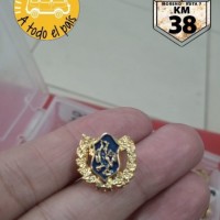 pin vucetich